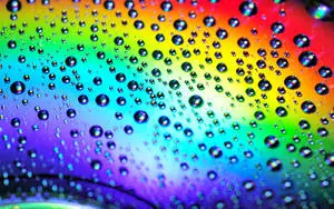 Beautiful Cool Rain Drops