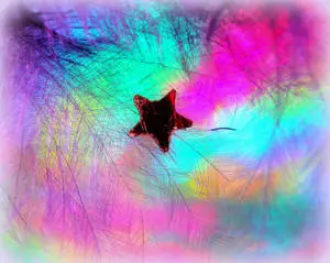 Beautiful Cool Red Star