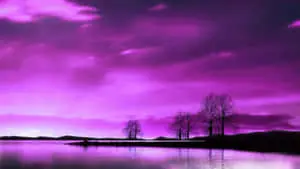 Beautiful Sky pictures