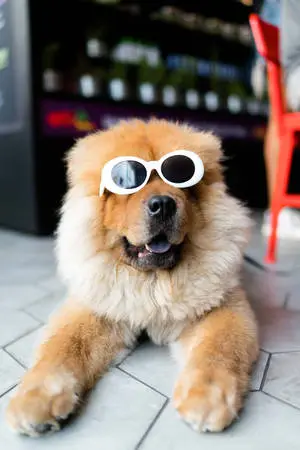 Cool as a Cucumber