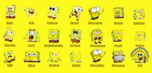 Have Fun with Cool Spongebob