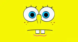 Spongebob Looking Cool In His Shades