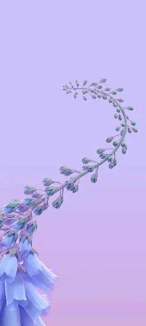 Interactive Bellflower Vine