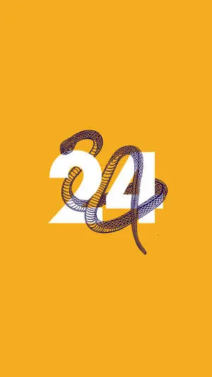 Number 24 Kobe Bryant Cool