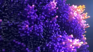 The Beauty of Purple Cool