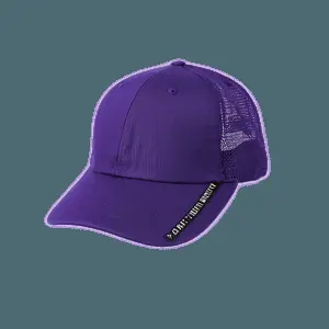 Purple Hat PNG gbt6