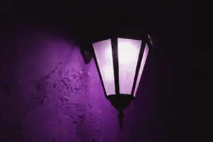 Beautiful shades of purple in one amazing landscape 