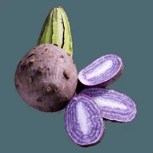 Purple Yam PNG 06252024