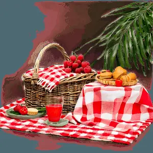 Red Aesthetic Picnic Scene PNG yca36