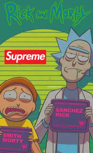 The Supreme Level of Rick and Morty