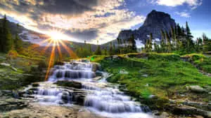 Enjoy the natural beauty with this colorful and calming screensaver