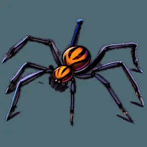 Spider Illustration PNG 37