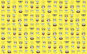 "It's a Spongebob kind of day!"